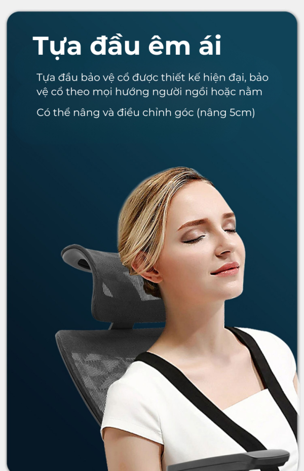 Ghế công thái học cao cấp Ergonomic Fly V9 2 1