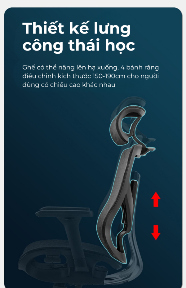 Ghế công thái học cao cấp Ergonomic Fly V9 3 2