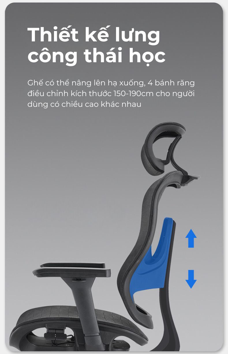 Ghế công thái học Ergonomic Honey V12MB 12 ghe cong thai hoc bena 1 1