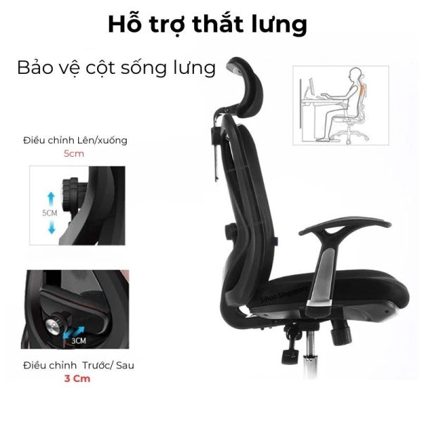 Ghế công thái học Ergonomic Sihoo M16 4 m16 3